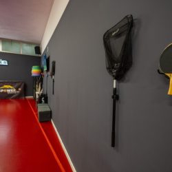 tennistavolo-pingpower-prezzi e attrezzature